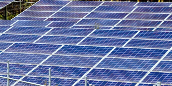 フェンス越しに広がる多数の太陽光パネルと背景の木々