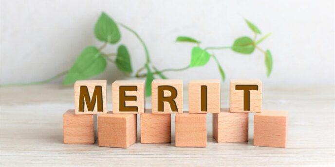 木製ブロックに並んだ『MERIT』の文字と観葉植物が背景にあるイメージ
