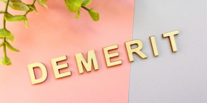 ピンクとグレーの背景に置かれた「DEMERIT」の文字と植物